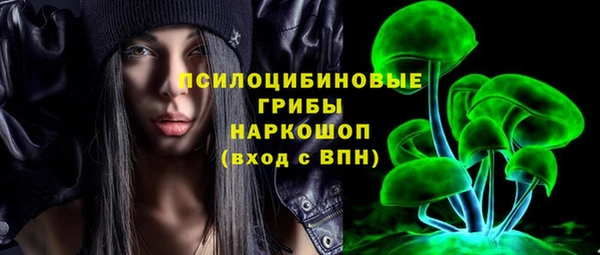 стаф Нефтегорск