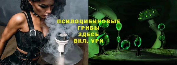 стаф Нефтегорск