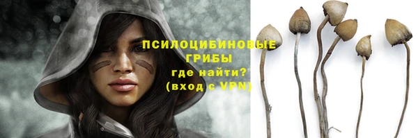 стаф Нефтегорск