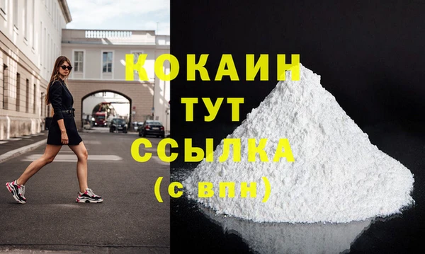 стаф Нефтегорск