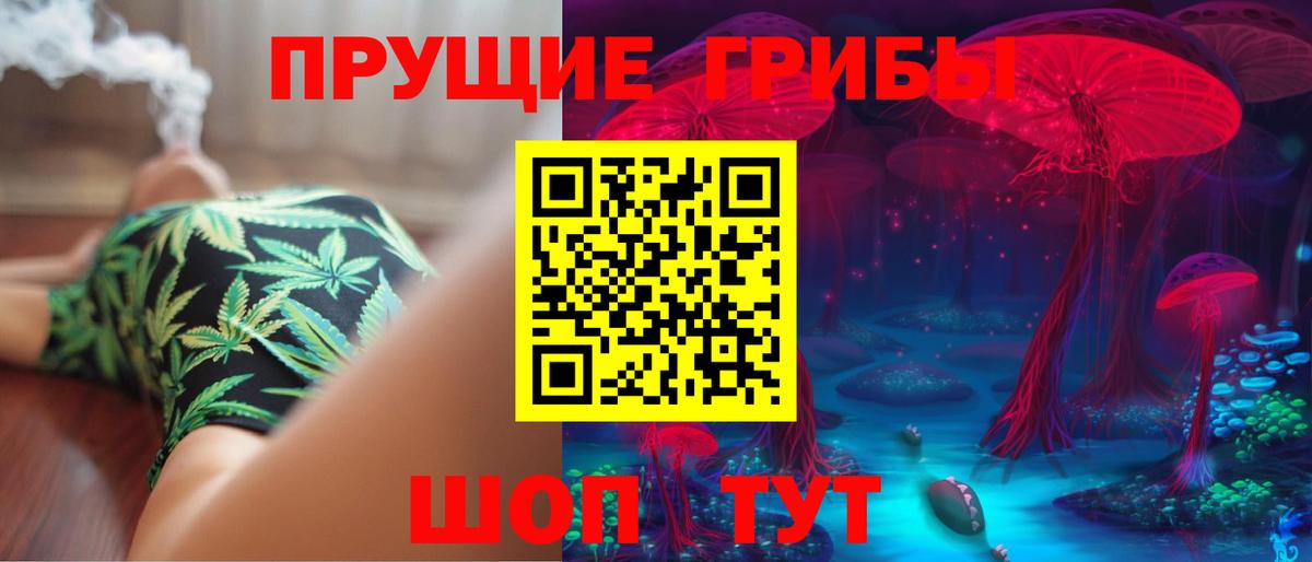Красногорск  Галлюциногенные грибы Psilocybe  Вход с VPN  Псилоцибиновые грибы ЛСД 